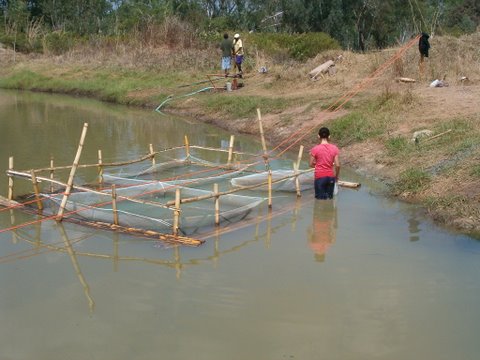 Project Update: October 2022 
